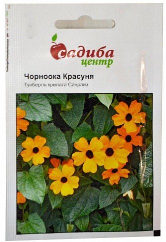 Тунбергия "Черноглазая красавица" ТМ "Садиба центр" 0.1г