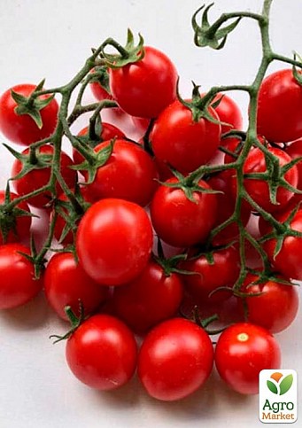 Томат детерминантный черри "Дредд F1" ТМ "Lark Seeds" 500шт