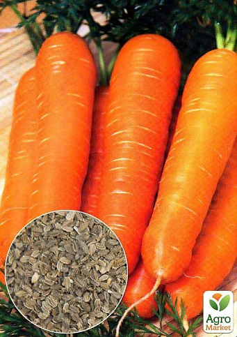 На развес Морковь "Ням-ням" ТМ "Весна" цена за 10г