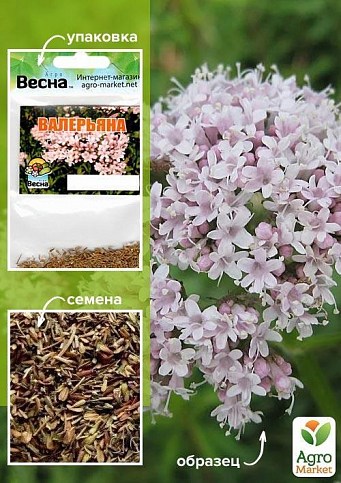 Валерьяна (Зипер) ТМ "Весна" 0,5г
