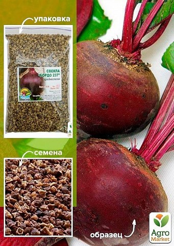 Свекла "Бордо" ТМ "Весна" 100г