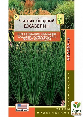 Ситник бледный "Джавелин" ТМ "Плазменные семена" 3шт