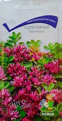 Седум ложный "Малиновый" ТМ "Поиск" 0.01г