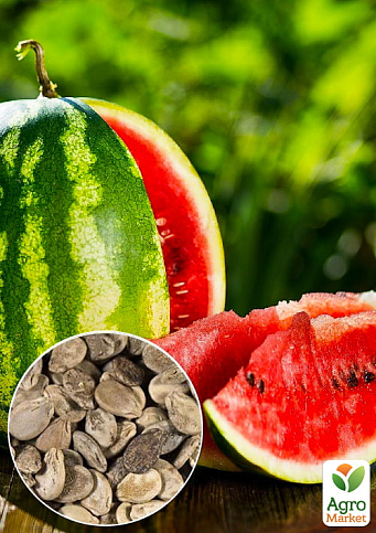 На вагу Кавун "Аравінда" ТМ "Весна" ціна за 6г