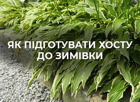 Готуємо хости до зими | Agro-market