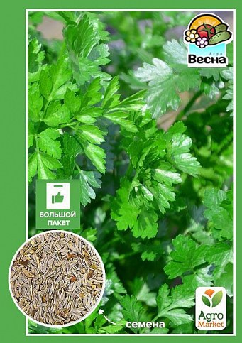 Кресс-салат (Великий пакет) ТМ "Весна" 2г