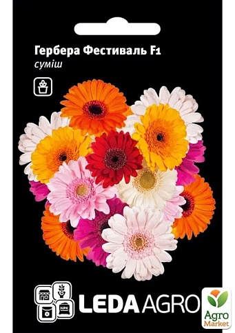 Гербера "Фестиваль F1" смесь ТМ "Leda Agro" 4шт