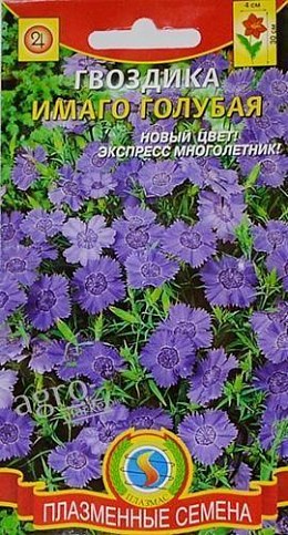 Гвоздика "Имаго голубая" ТМ "Плазмас" 0.05г