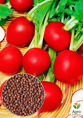 Редис "Кармен" (Зипер) ТМ "Весна" 7г