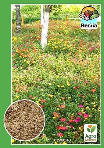 Газон мавританський ТМ "Весна" 10г