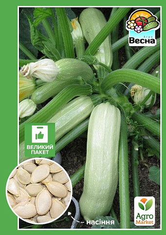 Кабачок "Кустовой" (Большой пакет) ТМ "Весна" 5г