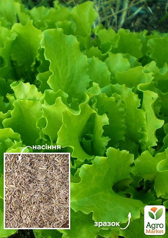 На развес Салат "Гейзер" ТМ "Весна" цена за 8г