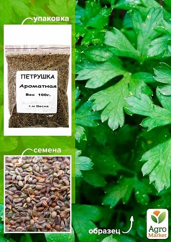 Петрушка "Ароматная" ТМ "Весна" 100гр
