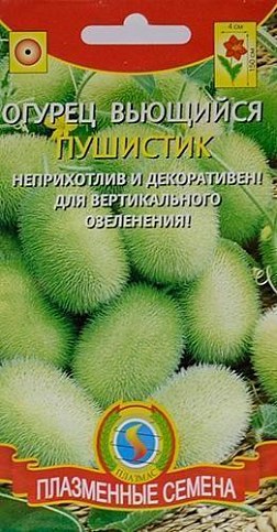 Огурец вьющийся "Пушистик" ТМ "Плазмас" 6шт