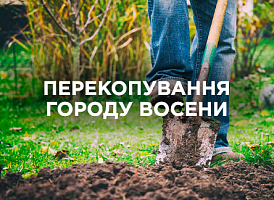 Чи потрібно перекопувати город восени: думки та альтернатива | Agro-market
