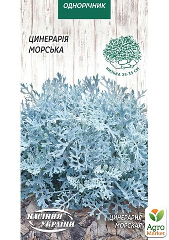 Цинерарія "Морська" ТМ "Насіння України" 0.1г