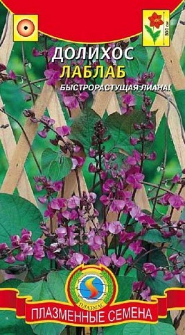 Долихос (гиацинтовые бобы) "Лаб-Лаб" ТМ "Плазменные семена" 1г