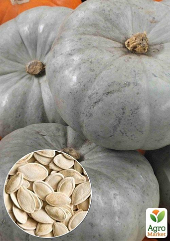 На развес Тыква "Крошка" ТМ "Весна" цена за 15г