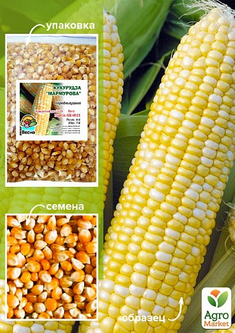 Кукурудза "Мармурова" ТМ "Весна" 500г