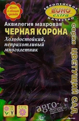 Аквілегія "Чорна корона" ТМ "Аеліта" 8шт