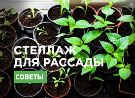 Стелаж для розсади своїми руками - корисні статті про садівництво від Agro-Market