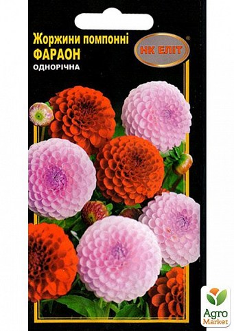 Георгина помпонная "Фараон" ТМ "НК ЭЛИТ" 0.3г