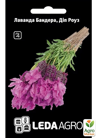 Лаванда Бандера "Діп Роуз" ТМ "Leda Agro" 5шт