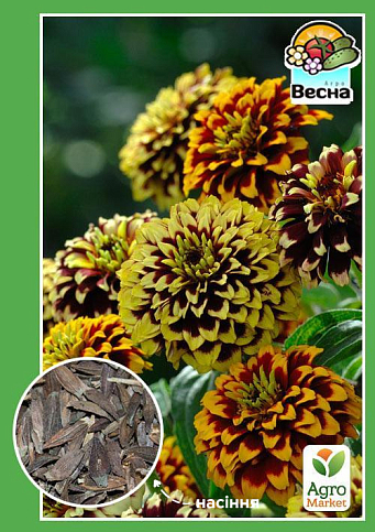 Цинния "Персидский ковер" ТМ "Весна" 0.4г