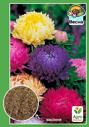 Астра "Карликовая смесь" ТМ "Весна" 0.2г