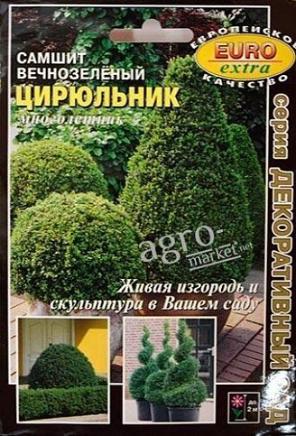 Самшит вечнозелёный "Цирюльник" ТМ "АЭЛИТА" 6шт