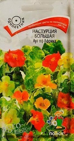 Настурция большая "Аут оф Африка" ТМ "Поиск" 1г