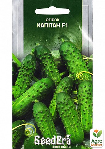 Огурец "Капитан F1" ТМ "SeedEra" 10шт NEW