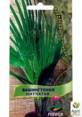 Вашингтония "Нитчатая" ТМ "Поиск" 3шт