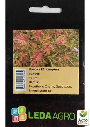 Колеус "Колоча Скарлет" ТМ "Leda Agro" 50шт