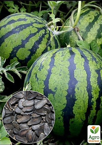 На развес Арбуз "Борчанский" ТМ "Весна" цена за 6г