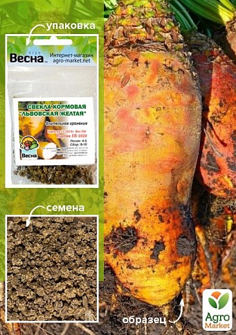Свекла кормовая "Львовская желтая" (Зипер) ТМ "Весна" 10г