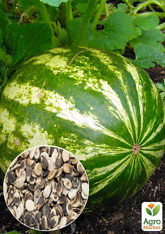 На развес Арбуз "Олигарх" ТМ "Весна" цена за 6г