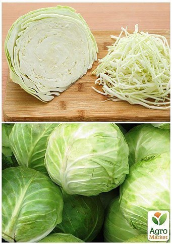 На вагу Капуста "Білосніжка" ТМ "Весна" ціна за 6г - фото 4