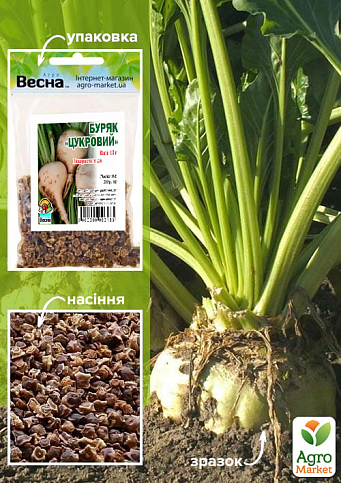 Свекла "Сахарная" (Зипер) ТМ "Весна" 10г