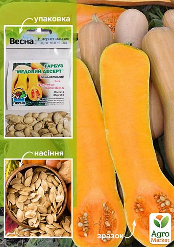 Тыква "Медовый десерт" (Зипер) ТМ "Весна" 5г
