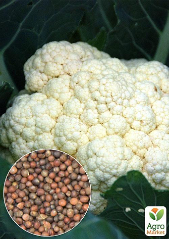 На вагу Капуста цвітна "Сніжна куля" ТМ "Весна" ціна за 1,5г