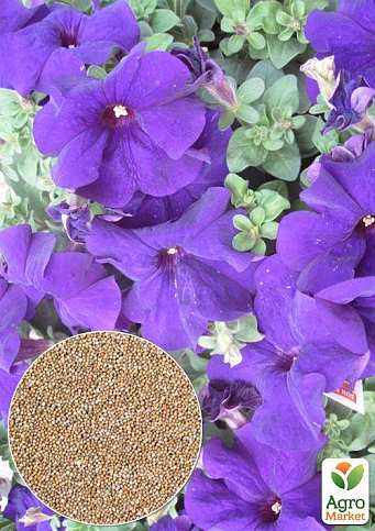 На вагу Петунія "Великоквіткова фіолетова" ТМ "Весна" ціна за 1,5г