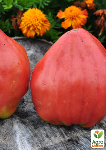 Томат "Kelli’s Heart" ТМ "Vesna Select" 20шт - фото 3