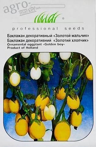 Баклажан декоративный "Золотой мальчик" ТМ "Hem Zaden" 0.2г