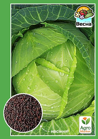 Капуста "Сахарная голова" ТМ "Весна" 0.5г