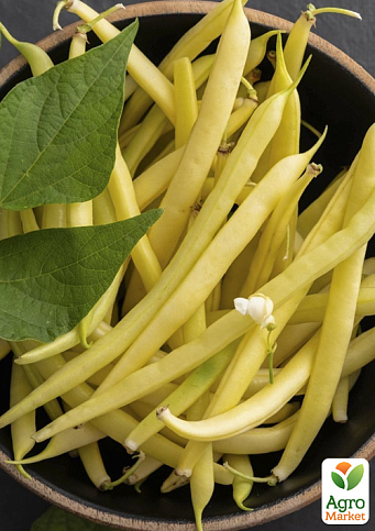 Квасоля "Фруідор F1" ТМ "Clause" 500г