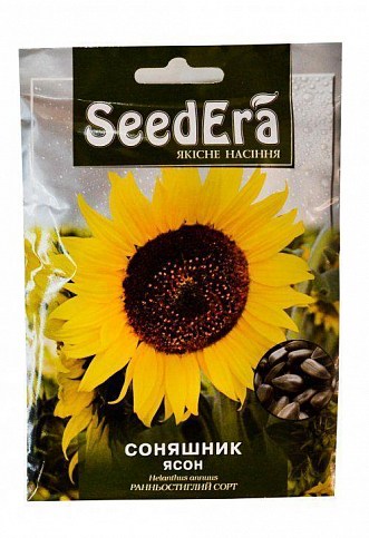 Соняшник "Ясон" ТМ "SeedEra"