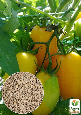 На развес Томат "Обериг" ТМ "Весна" цена за 1г