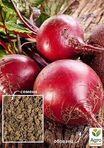 Свекла "Гранатовый сок" ТМ "Весна" 100г