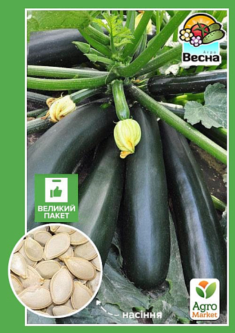 Кабачок "Чорний Красень" (Великий пакет) ТМ "Весна" 5г